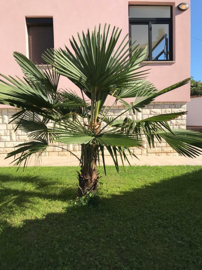 Puntizela-patty Apartment *